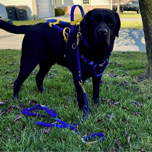 Jeffree Star Artistry Eyeshadow Singles pick 1 - Picture 3 of 3